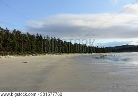 An Incredible View Of The Sandy Beaches Of Nels Bight, Surrounded By Forest And The Pacific Ocean, A