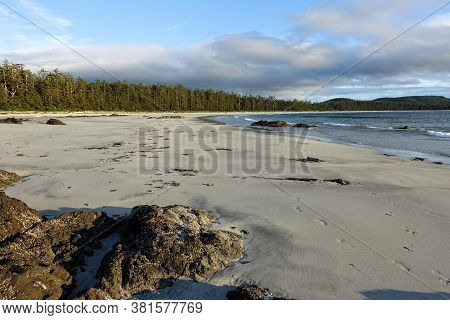 An Incredible View Of The Sandy Beaches Of Nels Bight, Surrounded By Forest And The Pacific Ocean, A