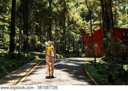 traveling Asian woman hiking in the forest at Xitou, Nantou, Taiwan