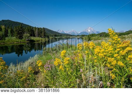 View Of The Grand Tetons Mountains As Seen From Oxbow Bend, With Defocused Wildflowers In Foreground