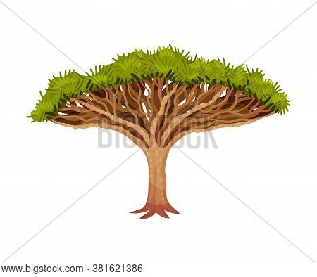 Tree With Exuberant Green Foliage And Trunk Vector Illustration