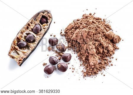 Carob pods and carob powder on the white background.
