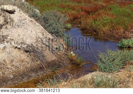 The Ecological Problem Of Poor Countries Is The Discharge Of Liquid Industrial Waste Into Public Wat