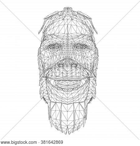 Wireframe Low Poly Head Of A Neanderthal. Wireframe Head Of A Prehistoric Man. Front View. 3d. Vecto