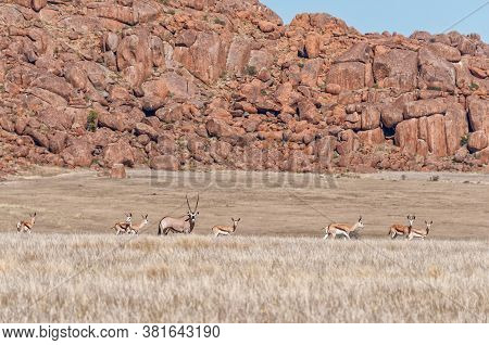 A Mountain Landscape, With An Oryx And Springbok, On Road C27 Between Sesriem And Betta.