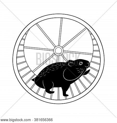 The Hamster In Running Wheel Is Isolated On The White Background.