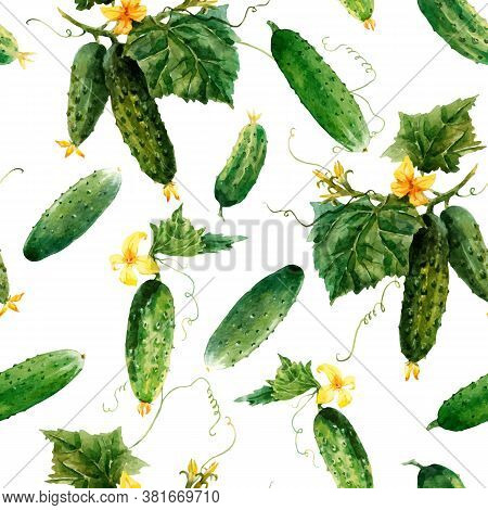 Beautiful Vector Seamless Vegetable Pattern With Watercolor Summer Cucumbers. Stock Illustration.