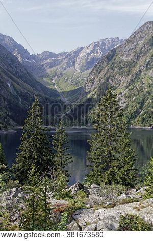 Lauvitel Lake And Pine Tree Under The Slopes Of Parc Des Ecrins