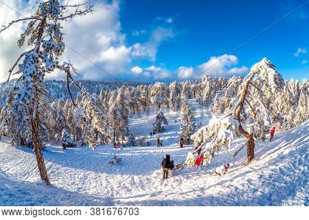 Troodos, Cyprus - January 02, 2018: Winter Scene At Snow-coveder Troodos Mountain Top