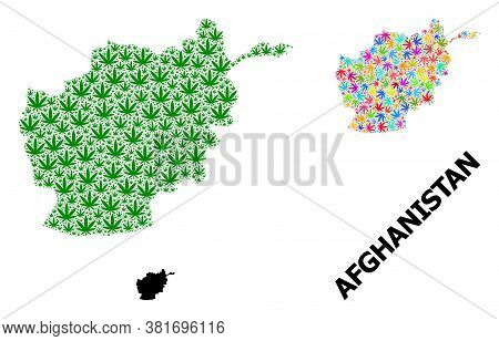 Vector Hemp Mosaic And Solid Map Of Afghanistan. Map Of Afghanistan Vector Mosaic For Hemp Legalize 