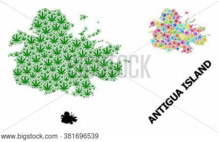 Vector Marijuana Mosaic And Solid Map Of Antigua Island. Map Of Antigua Island Vector Mosaic For Hem