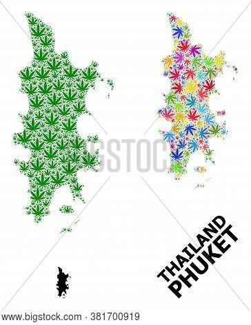 Vector Marijuana Mosaic And Solid Map Of Phuket. Map Of Phuket Vector Mosaic For Marijuana Legalize 