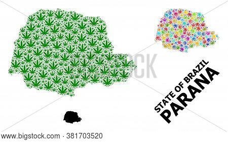 Vector Weed Mosaic And Solid Map Of Parana State. Map Of Parana State Vector Mosaic For Marijuana Le