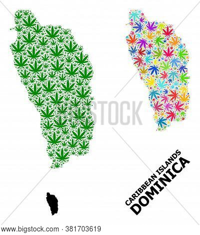 Vector Hemp Mosaic And Solid Map Of Dominica Island. Map Of Dominica Island Vector Mosaic For Hemp L