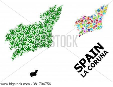 Vector Weed Mosaic And Solid Map Of La Coruna Province. Map Of La Coruna Province Vector Mosaic For 