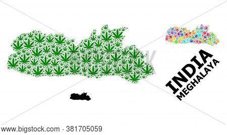 Vector Weed Mosaic And Solid Map Of Meghalaya State. Map Of Meghalaya State Vector Mosaic For Weed L