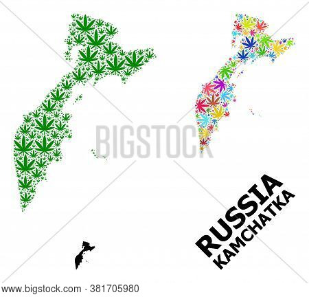 Vector Weed Mosaic And Solid Map Of Kamchatka Peninsula. Map Of Kamchatka Peninsula Vector Mosaic Fo