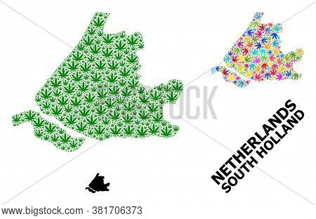 Vector Weed Mosaic And Solid Map Of South Holland. Map Of South Holland Vector Mosaic For Weed Legal