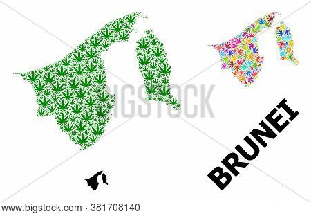 Vector Marijuana Mosaic And Solid Map Of Brunei. Map Of Brunei Vector Mosaic For Marijuana Legalize 