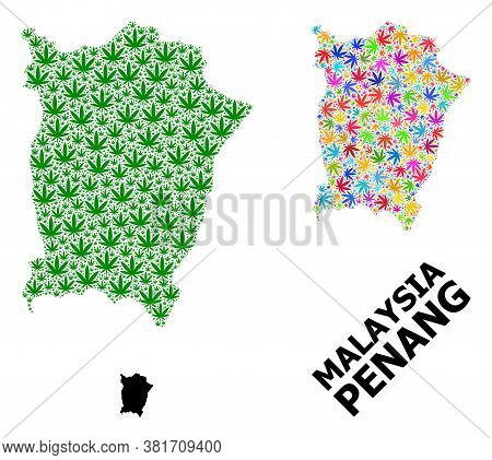 Vector Cannabis Mosaic And Solid Map Of Penang Island. Map Of Penang Island Vector Mosaic For Weed L
