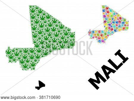 Vector Marijuana Mosaic And Solid Map Of Mali. Map Of Mali Vector Mosaic For Weed Legalize Campaign.