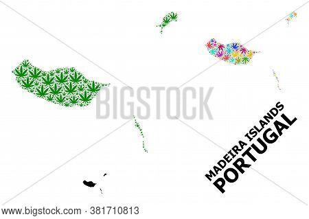 Vector Hemp Mosaic And Solid Map Of Madeira Islands. Map Of Madeira Islands Vector Mosaic For Hemp L