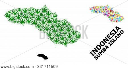 Vector Marijuana Mosaic And Solid Map Of Sumba Island. Map Of Sumba Island Vector Mosaic For Marijua