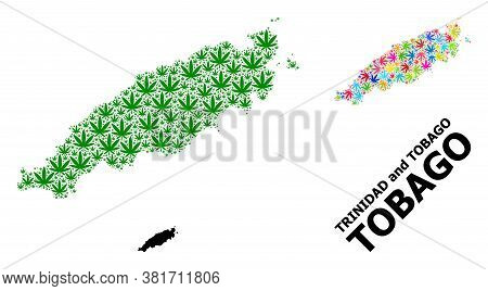 Vector Marijuana Mosaic And Solid Map Of Tobago Island. Map Of Tobago Island Vector Mosaic For Marij