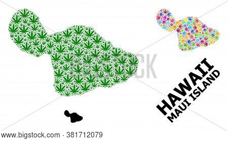 Vector Hemp Mosaic And Solid Map Of Maui Island. Map Of Maui Island Vector Mosaic For Hemp Legalize 