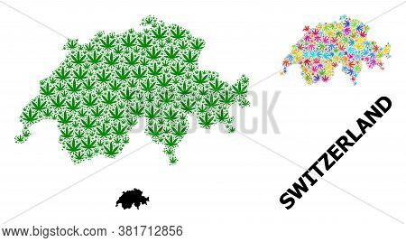 Vector Marijuana Mosaic And Solid Map Of Switzerland. Map Of Switzerland Vector Mosaic For Marijuana