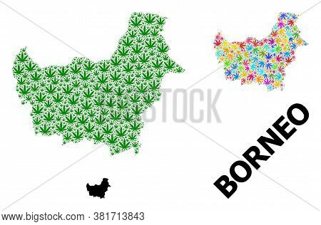 Vector Weed Mosaic And Solid Map Of Borneo Island. Map Of Borneo Island Vector Mosaic For Weed Legal