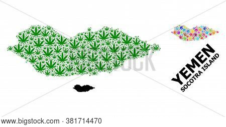 Vector Cannabis Mosaic And Solid Map Of Socotra Island. Map Of Socotra Island Vector Mosaic For Cann