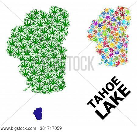 Vector Weed Mosaic And Solid Map Of Tahoe Lake. Map Of Tahoe Lake Vector Mosaic For Weed Legalize Ca
