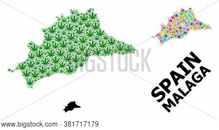 Vector Hemp Mosaic And Solid Map Of Malaga Province. Map Of Malaga Province Vector Mosaic For Weed L