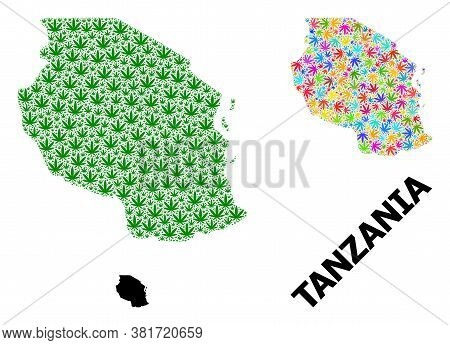 Vector Cannabis Mosaic And Solid Map Of Tanzania. Map Of Tanzania Vector Mosaic For Weed Legalize Ca
