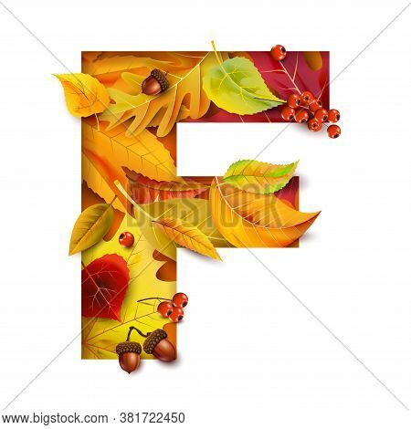 Autumn Blurred Background With Falling Leaves. For Your Design.