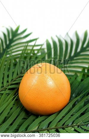 Grapefruit on banana leaves. large palm leaves.