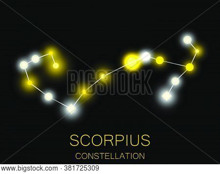 Scorpius Constellation. Bright Yellow Stars In The Night Sky. A Cluster Of Stars In Deep Space, The 