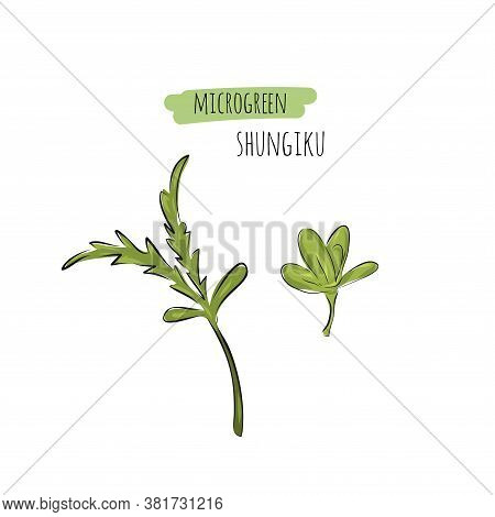 Hand Drawn Shungiku Micro Greens. Vector Illustration In Sketch Style Isolated On White Background