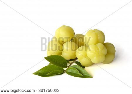 Star Gooseberry Or Phyllanthus Acidus Isolated On White Background.