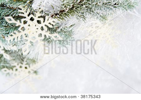 schneebedeckte Zweige der Fichte