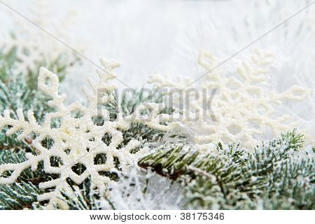 Schneebedeckten Zweige der Fichte