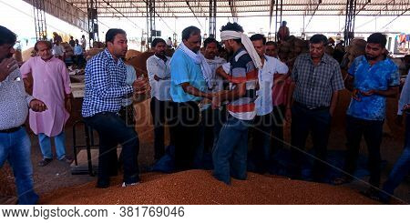 District Katni, India - August 07, 2019: Indian Farmers Selling Wheat Seeds At Huge Stock At Governm