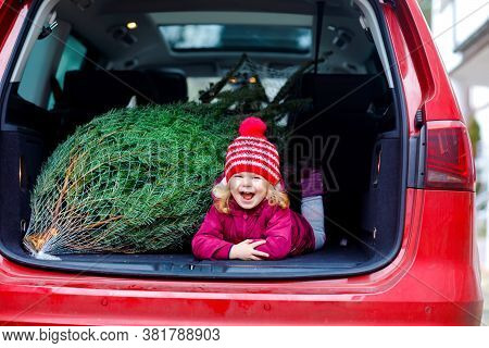 Adorable Little Toddler Girl With Christmas Tree Inside Of Family Car. Happy Healthy Baby Child In W