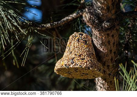 Bell From Various Grains, A Delicacy For All The Birds In The Garden