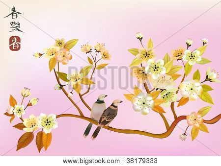 Uccello di Sakura. cartolina