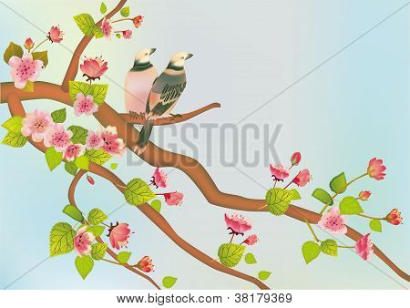 Uccello di Sakura. cartolina