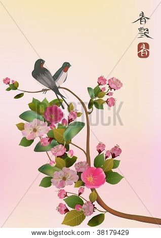Uccello di Sakura. cartolina