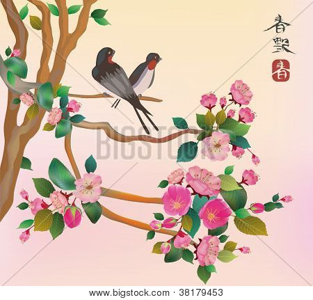 Uccello di Sakura. cartolina