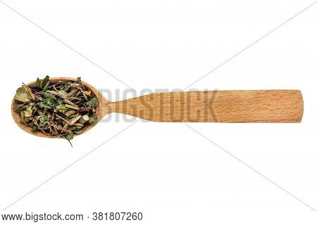 Dried Persicaria Hydropiper In A Wooden Spoon On A White Background. Phytotherapy And Disease Preven
